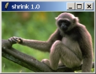 http://www-theover-org.njmu.s5.bt8.net/Wiki/shrink3b.jpg